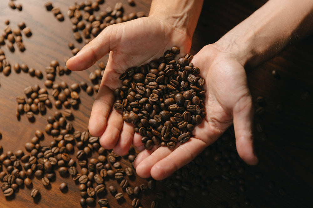 ¿Qué hace que un café sea de especialidad?